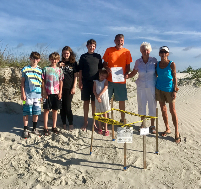 Adopt a Sea Turtle Nest Today!