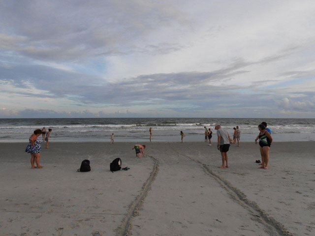 Bird Island Nest #4 Boil - 9/17/12