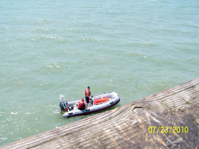 Sea Turtle Rescue at Sunset Beach Pier