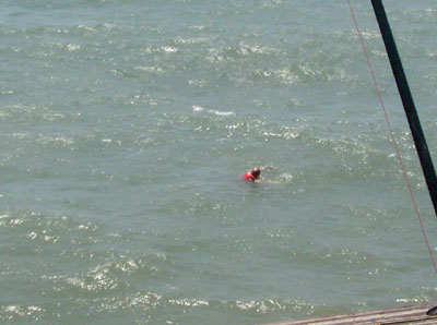 Sea Turtle Rescue at Sunset Beach Pier