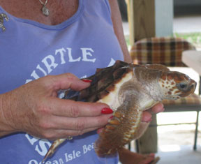 Sunset Beach Turtle Talks