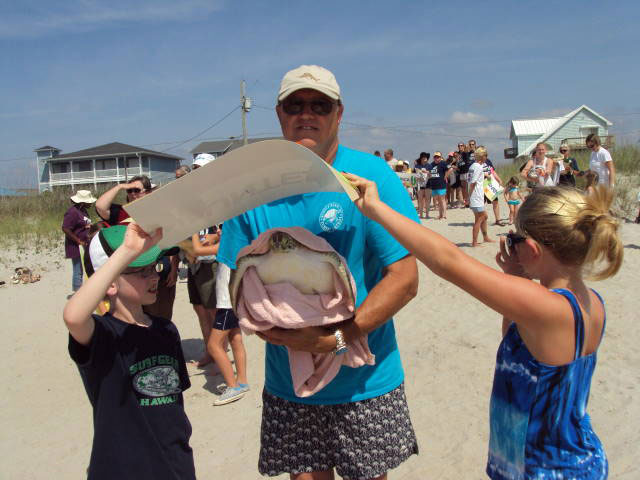 Sea Turtle Release at Topsail Beach