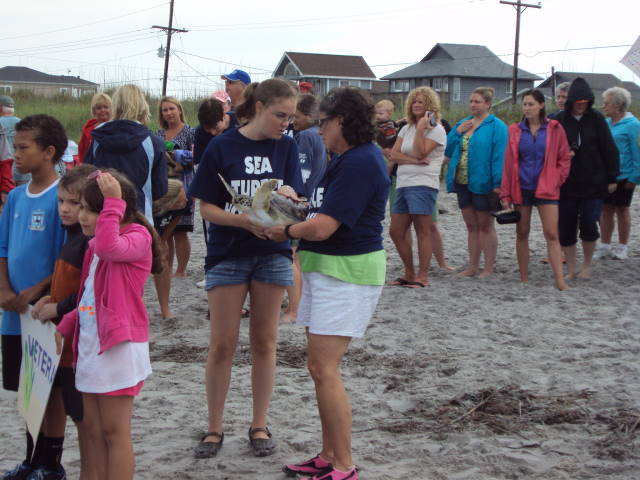 Sea Turtle Release - Topsail, NC