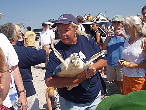 2007 Sea Turtles Release