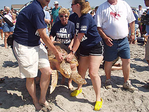 2007 Sea Turtles Release