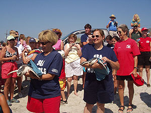 2007 Sea Turtles Release