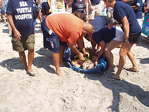 2007 Sea Turtles Release