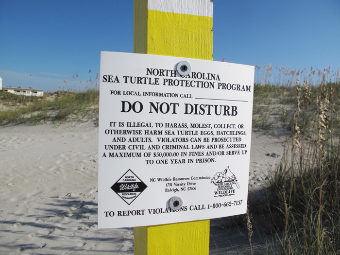 Sea Turtle Protection